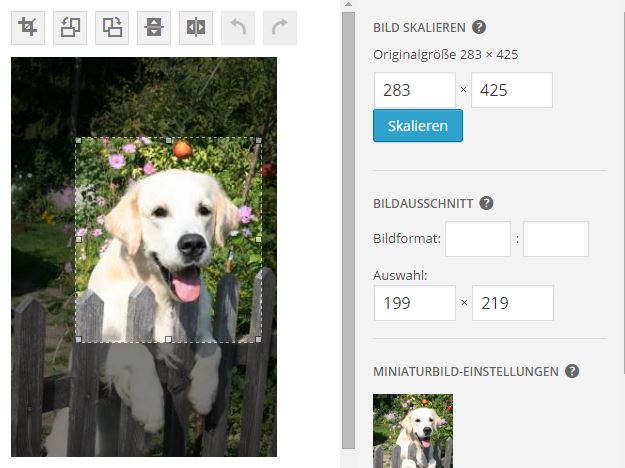 Bild skalieren WordPress