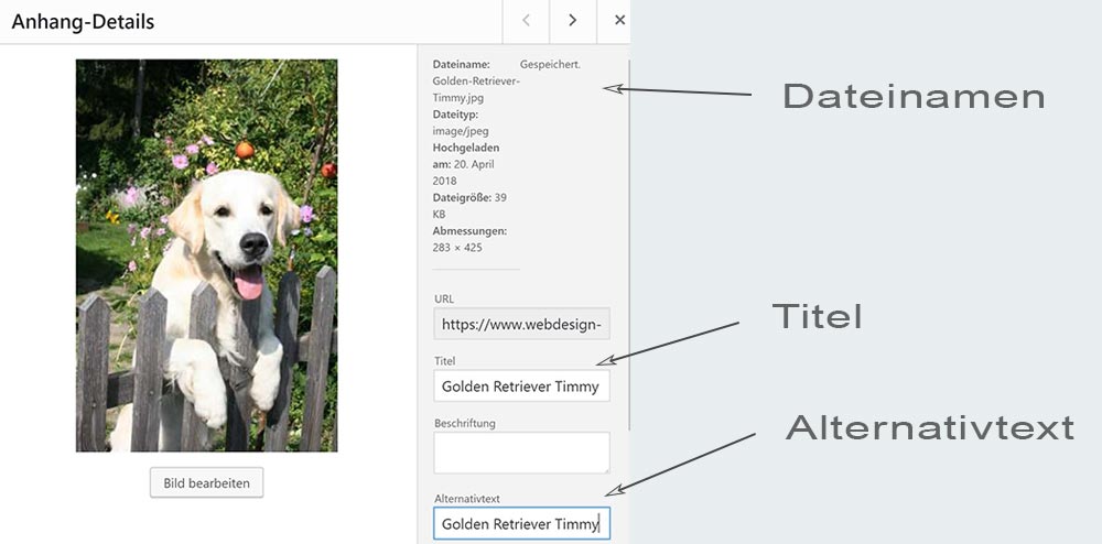 Bilder richtig benennen in WordPress