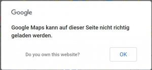 Google Maps kann auf dieser Seite nicht richtig geladen werden