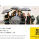 Immobilien Homepage Baden