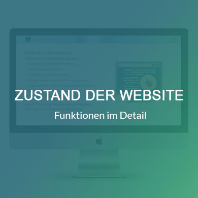 Zustand Der Website Wordpress